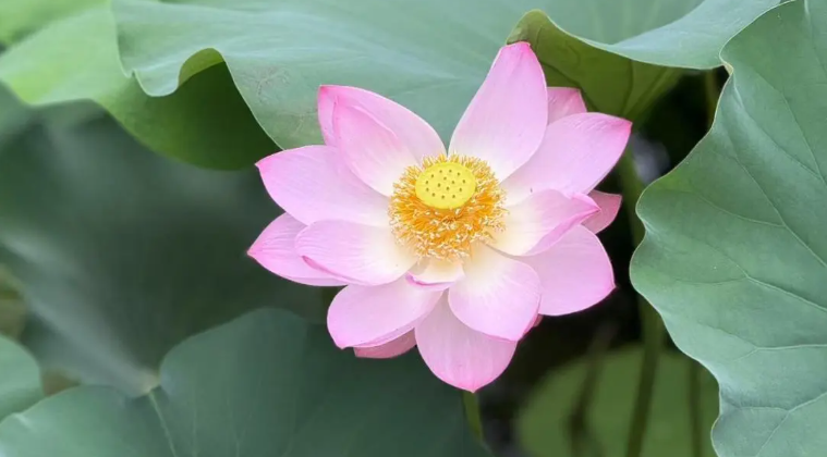 1747708872999048.png 企業(yè)微信截圖_17477088404765.png