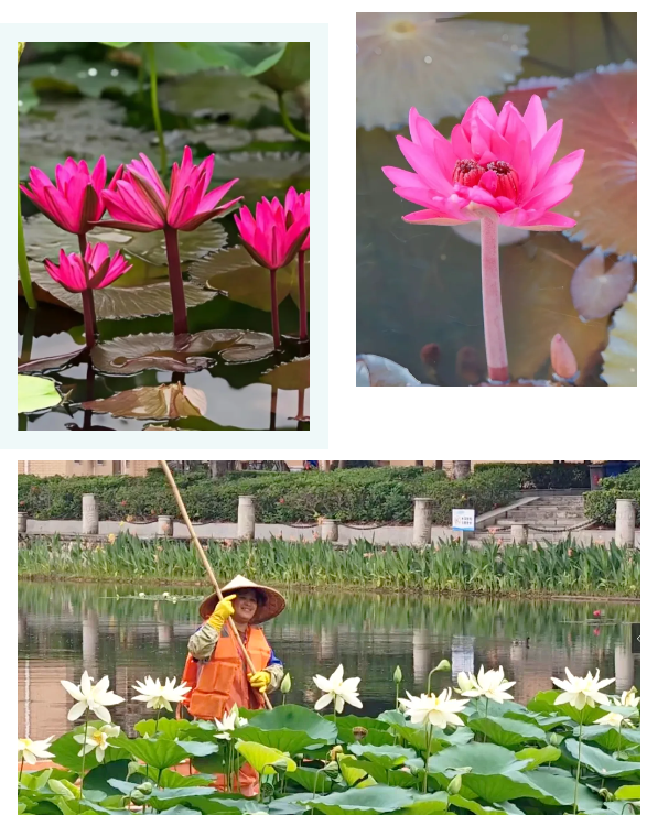 1751877297853124.png 企業(yè)微信截圖_17518771268788.png